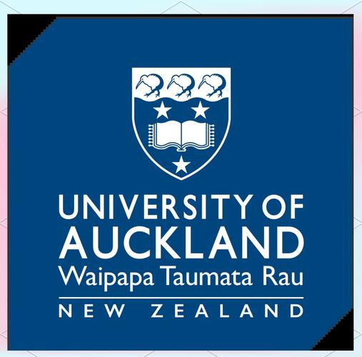 新西兰IT专业哪个学院最好