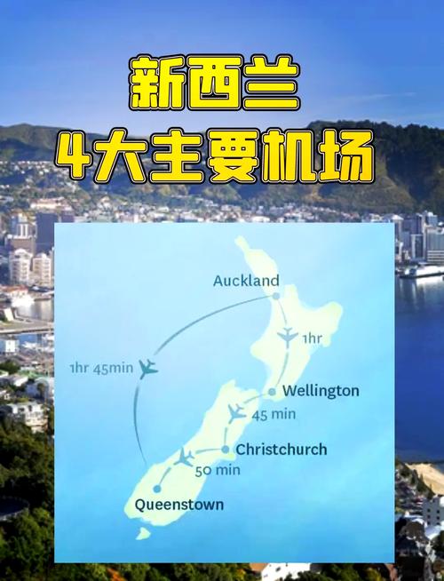 新西兰为什么被称为kiwi