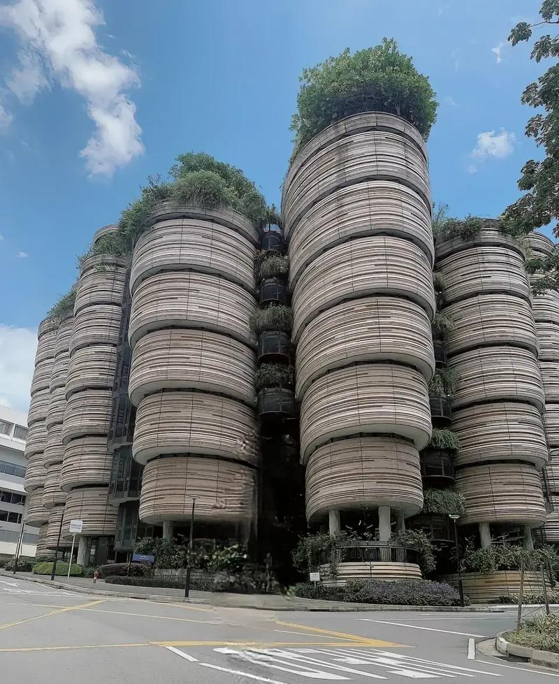 新加坡一年四季都是夏天吗