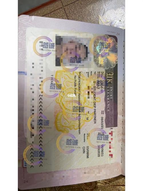 英国签证appendix8