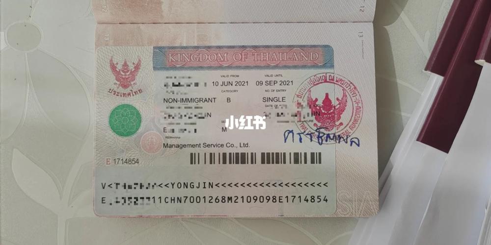 泰国签证 category
