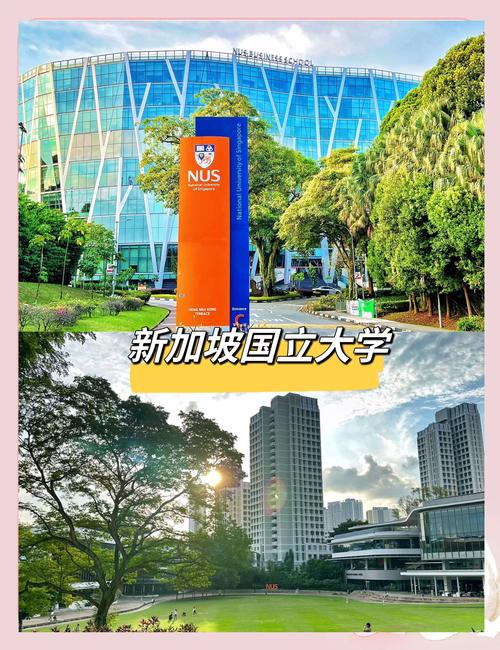 中国承认的新加坡的大学