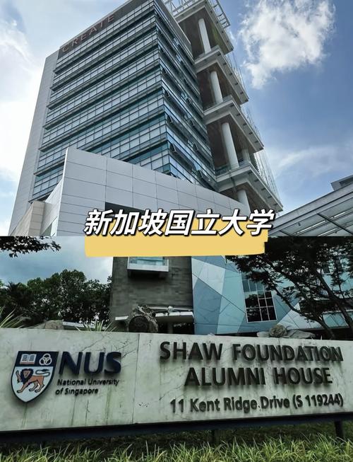 中国承认的新加坡的大学