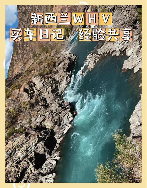 新西兰 whv 承认中介吗