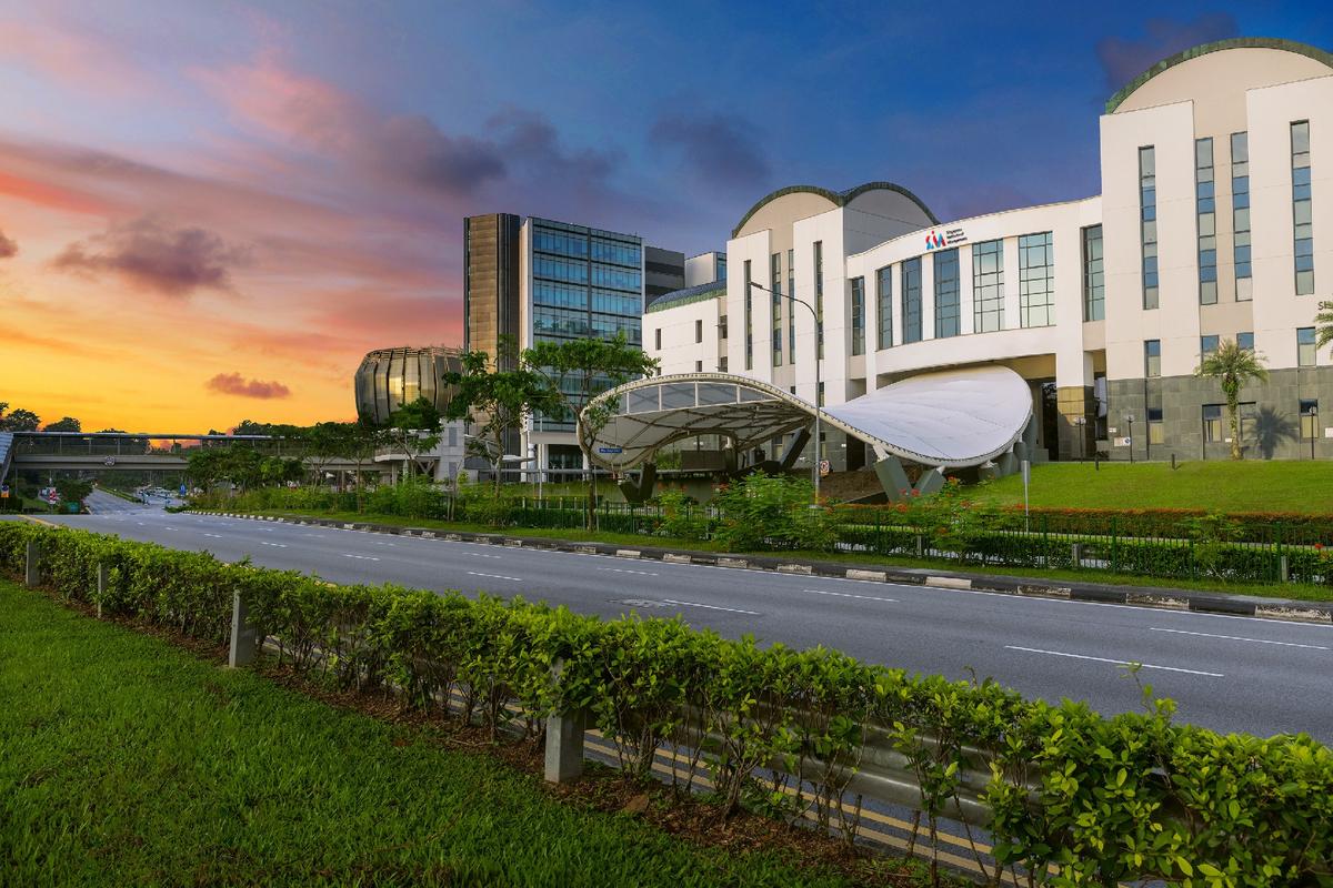 新加坡管理大学信息管理