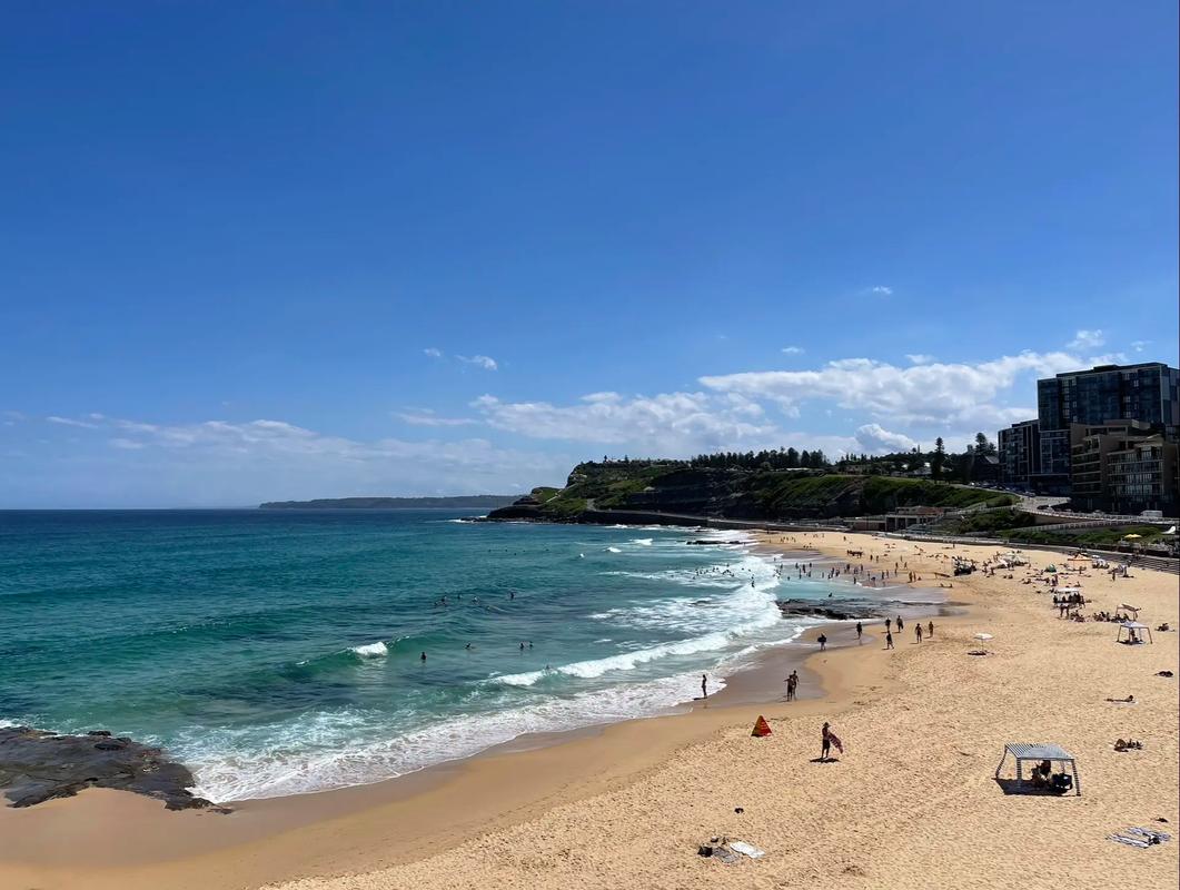 Newcastle 攻略 澳洲