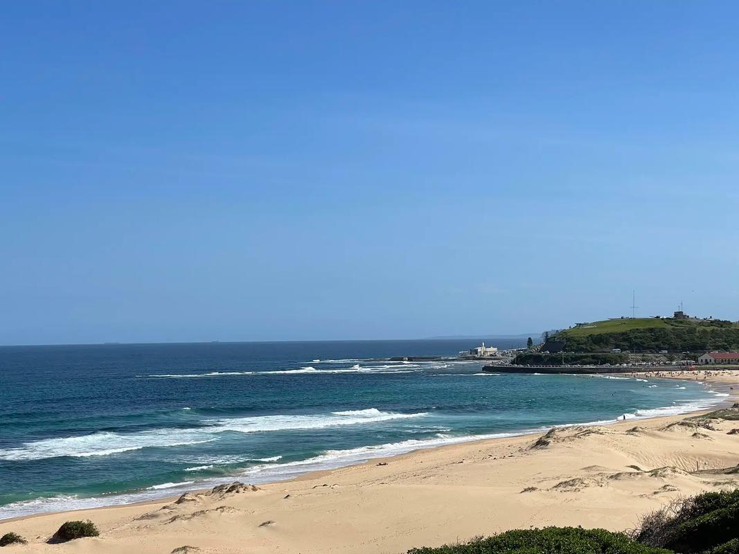 Newcastle 攻略 澳洲