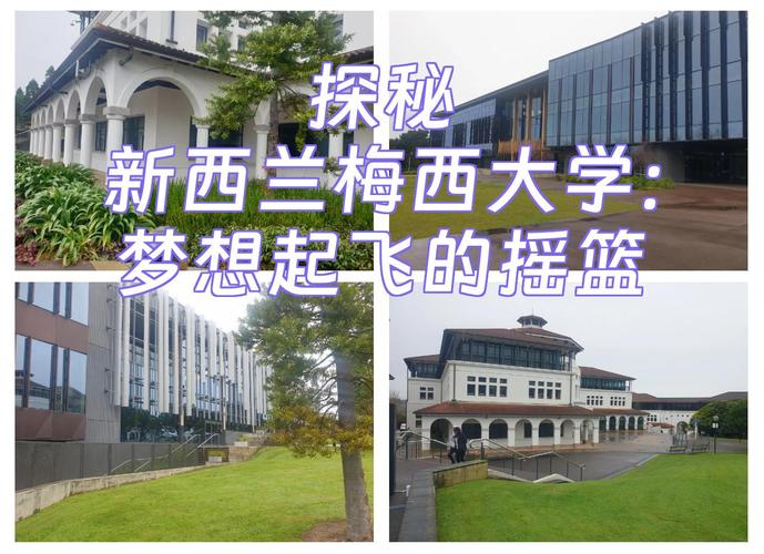 新西兰梅西大学master
