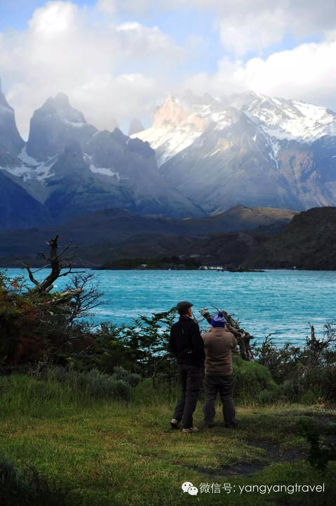 澳洲show cause中介