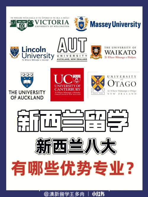 新西兰 pgd 有哪些专业