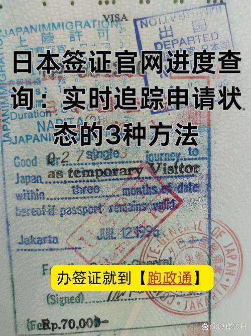 签证状态查询是issued