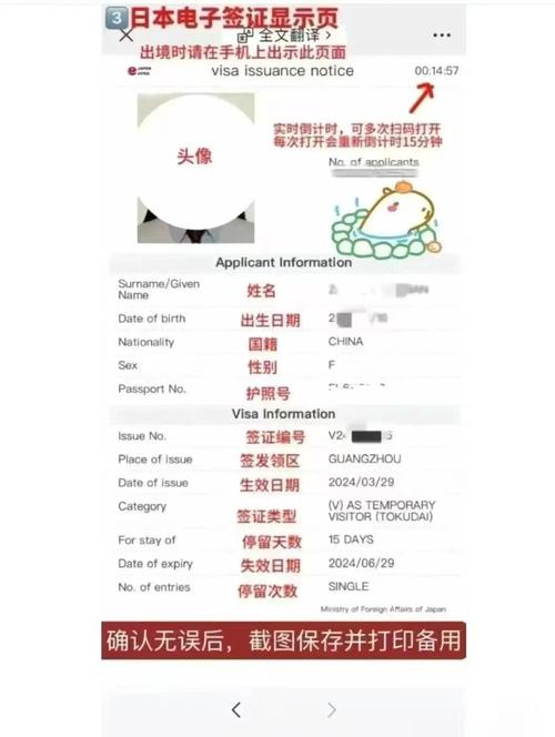 签证状态查询是issued