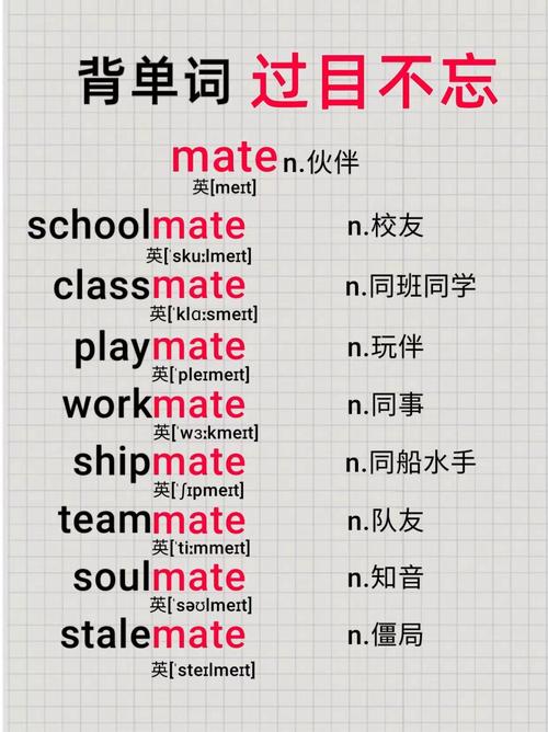 新西兰trademe怎么读