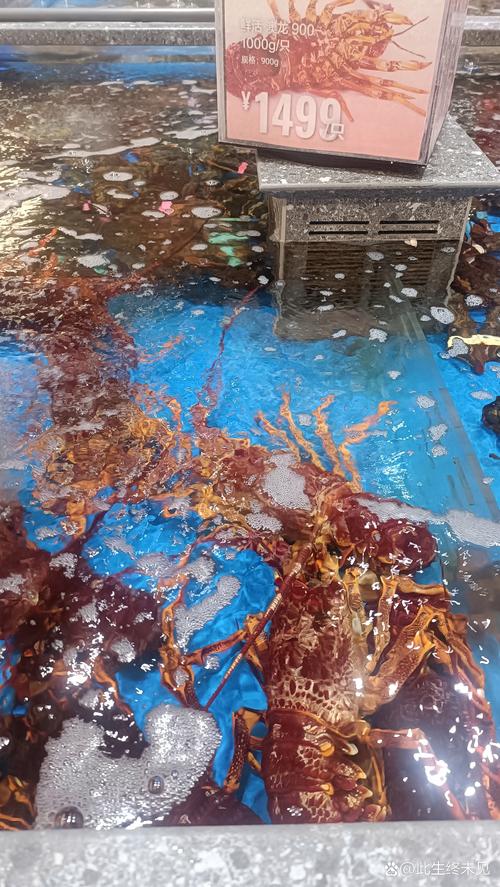 澳洲 house 地板 腥味