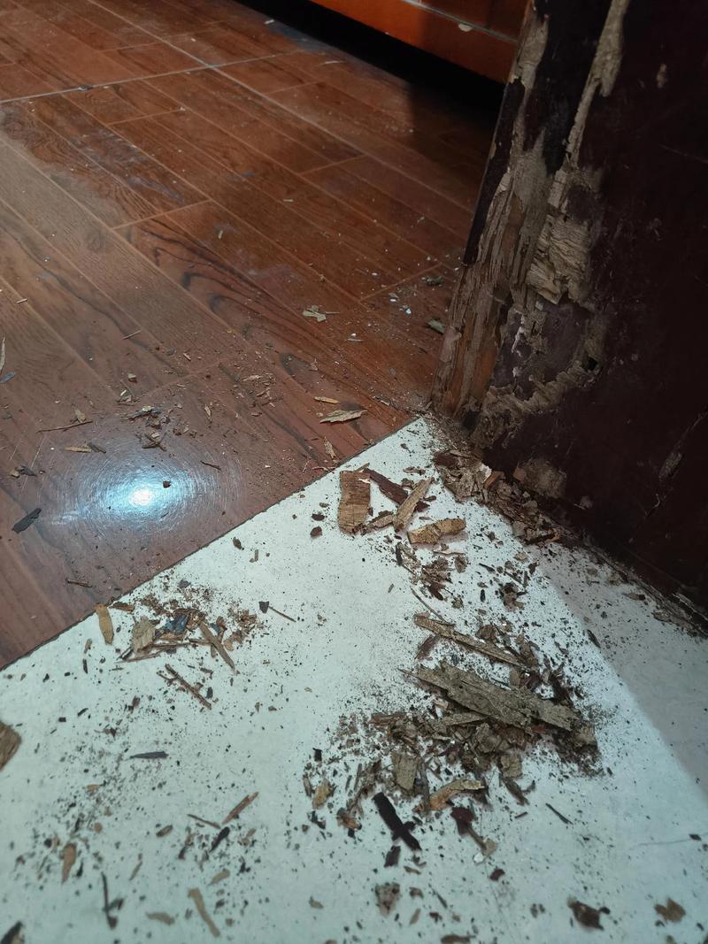 澳洲 house 地板 腥味