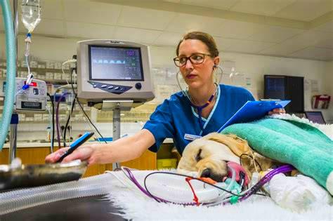 新西兰unitec动画制作