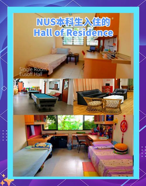 新加坡国立大学宿舍费用