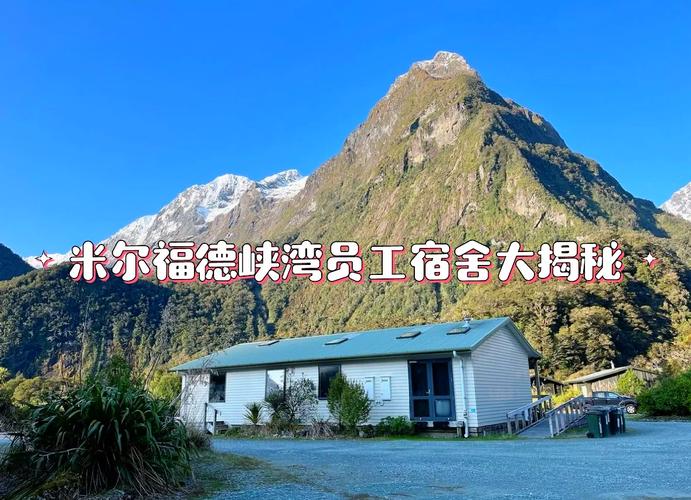 新西兰打工度假submit