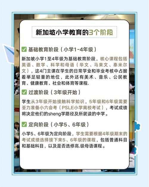 新加坡学什么体系的课程