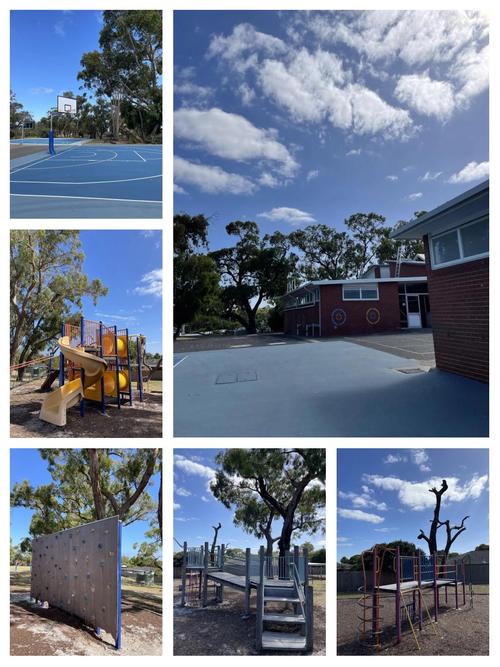 新西兰torbay小学地址