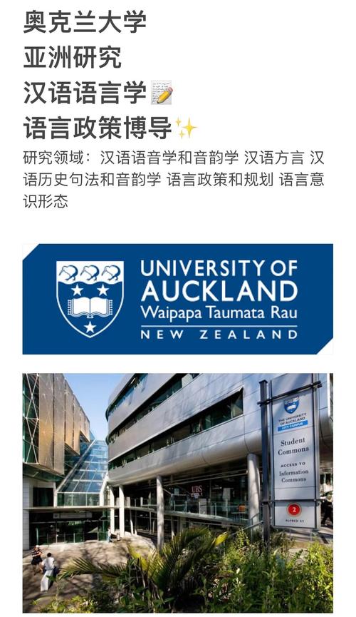 新西兰 phd 法学 工作