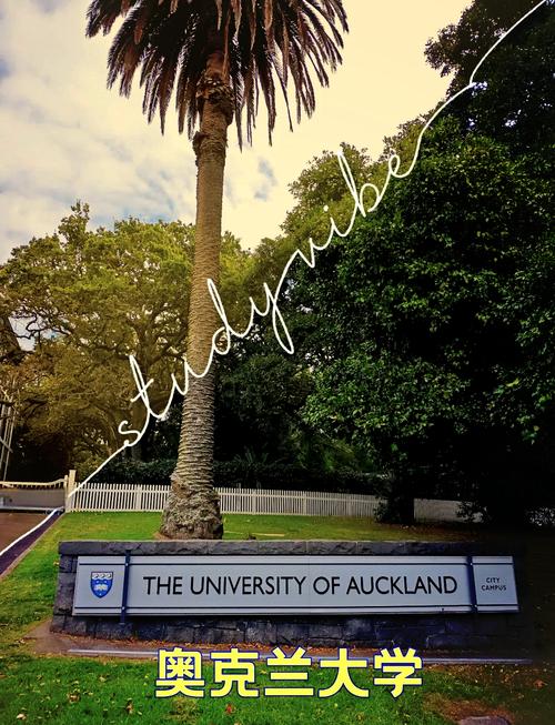 新西兰 奥克兰大学 phd