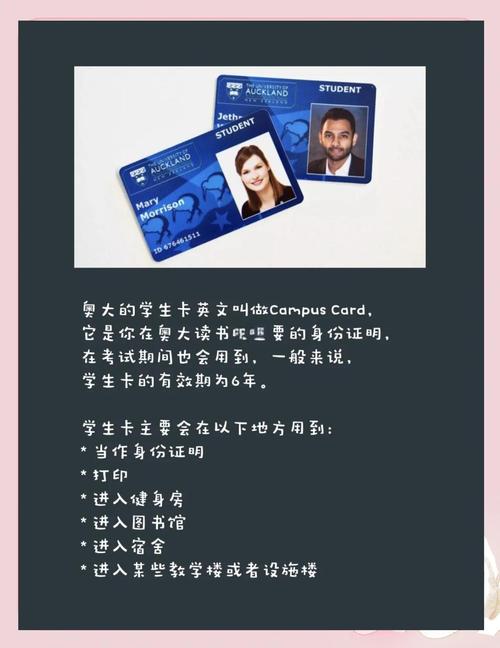 新西兰tax code学生