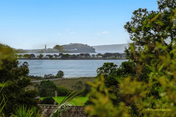 新西兰remuera的地区