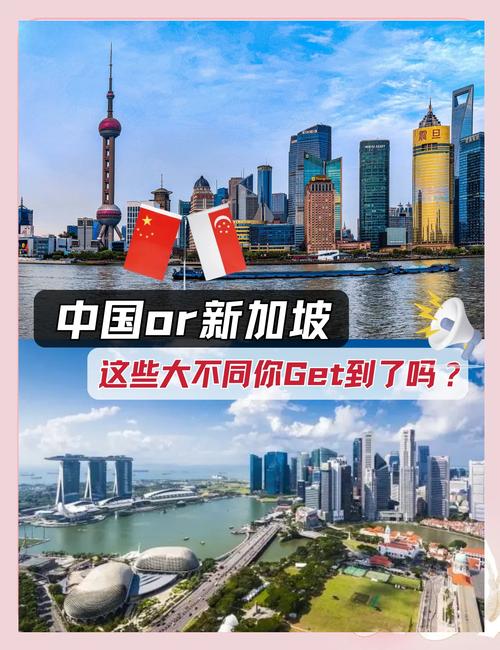 新加坡为什么来中国工作