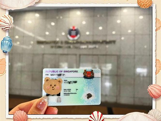 在新加坡拿准证自己做工