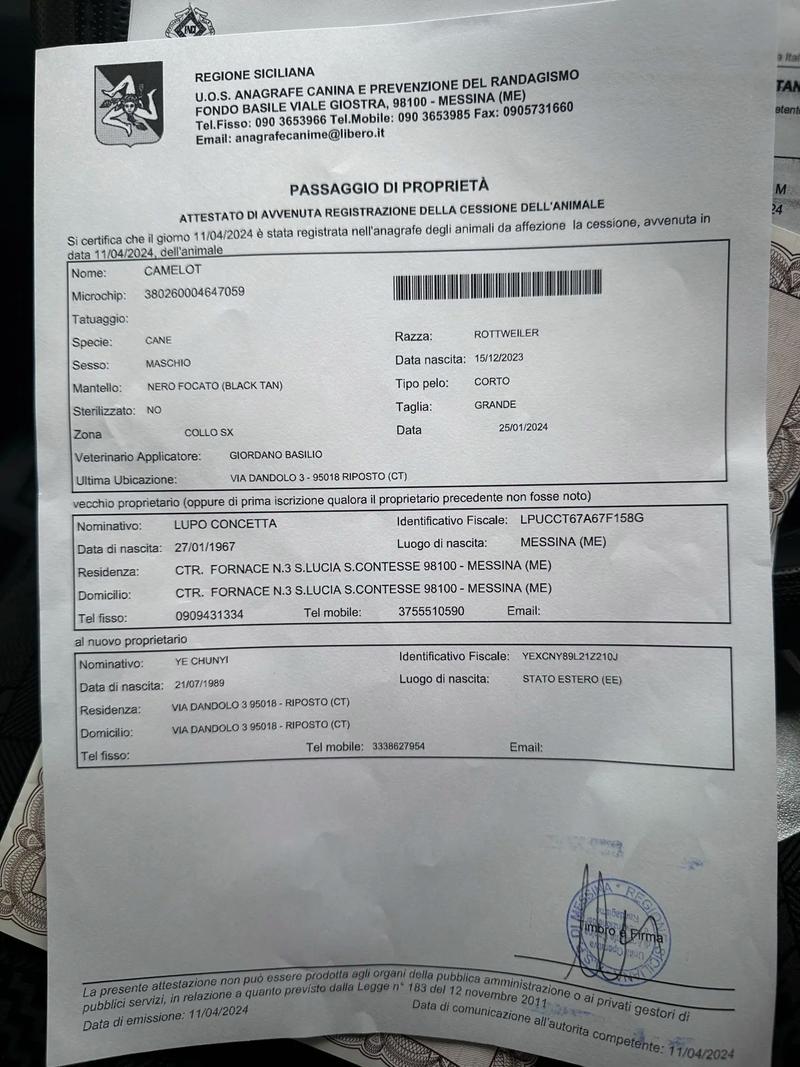 澳洲体检hap letter