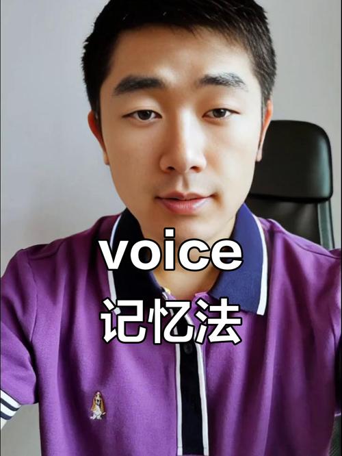 澳洲voicemail怎么听