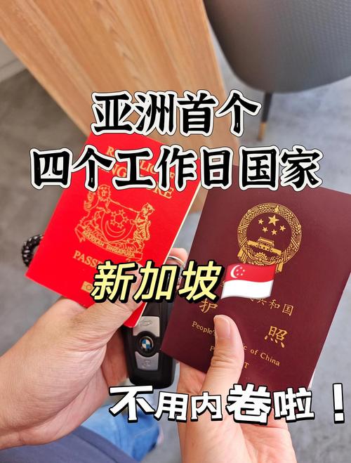 新加坡永久居民福利方面