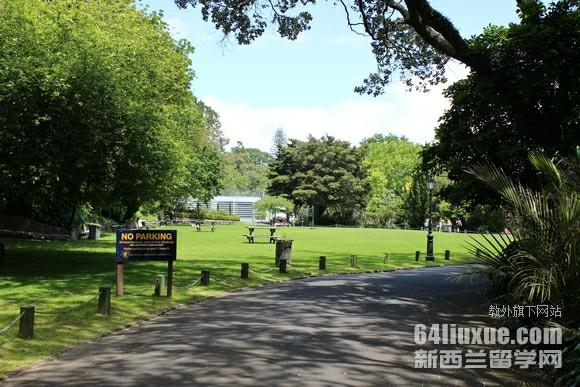 新西兰 selwyn 高中