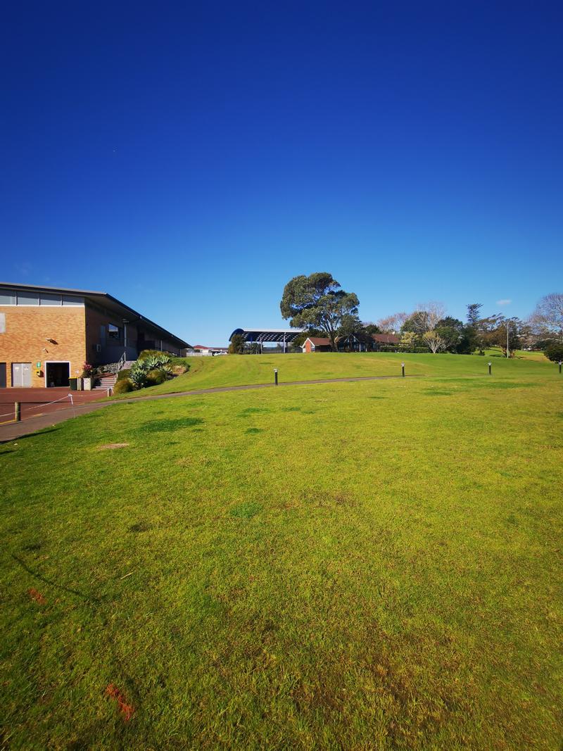 新西兰 selwyn 高中