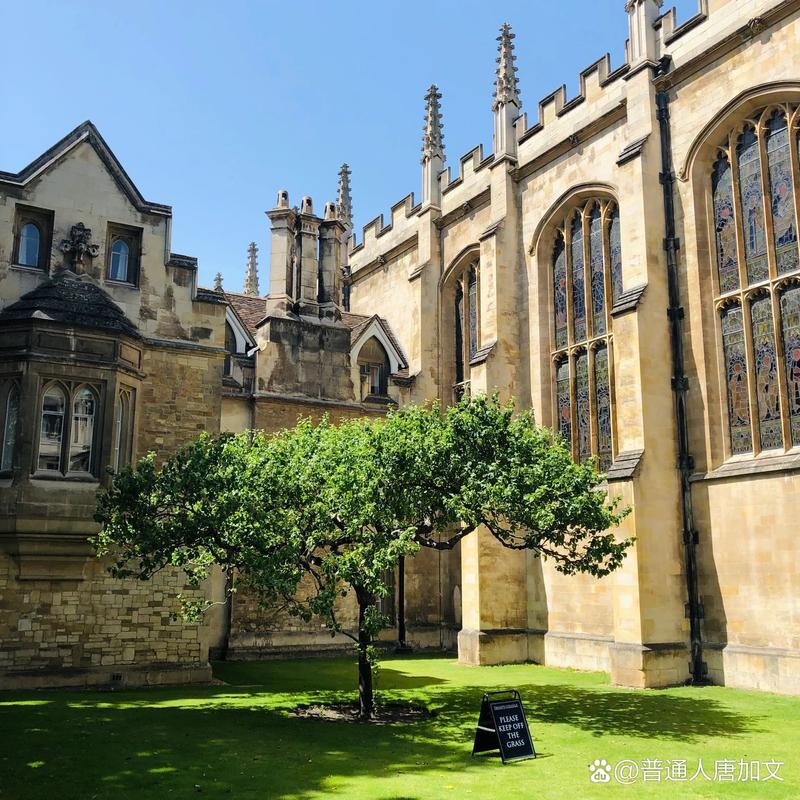 新西兰 selwyn 高中