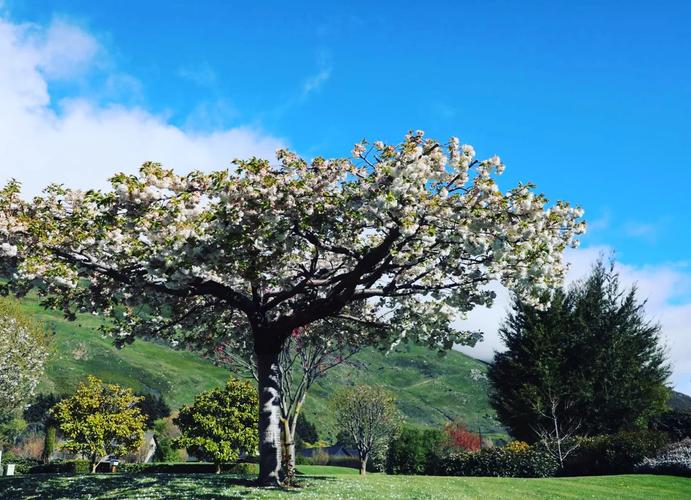 新西兰homestay刁难