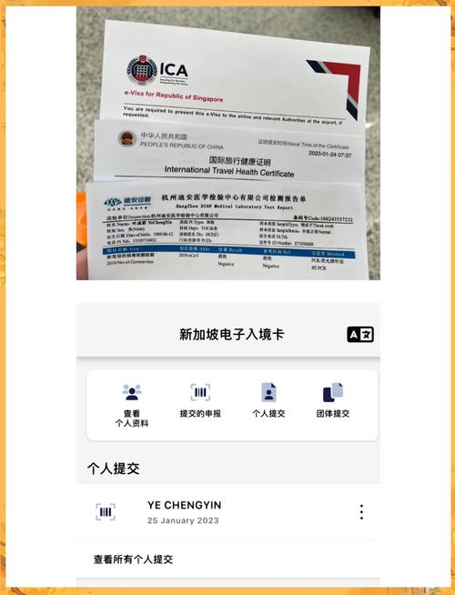 新加坡不给发工作签证w