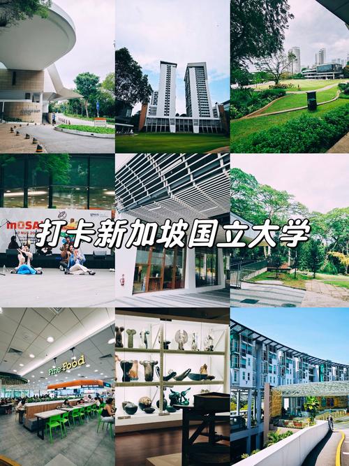 新加坡国立大学雅思寄送