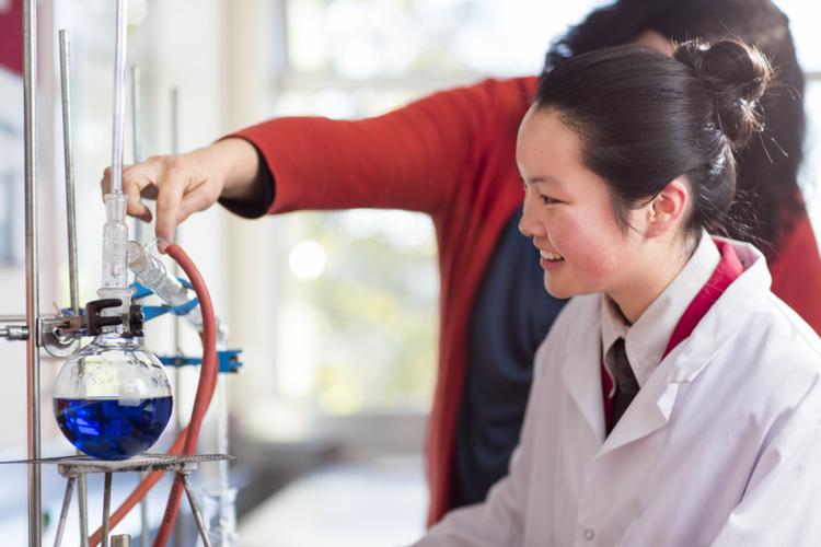 新西兰property专业