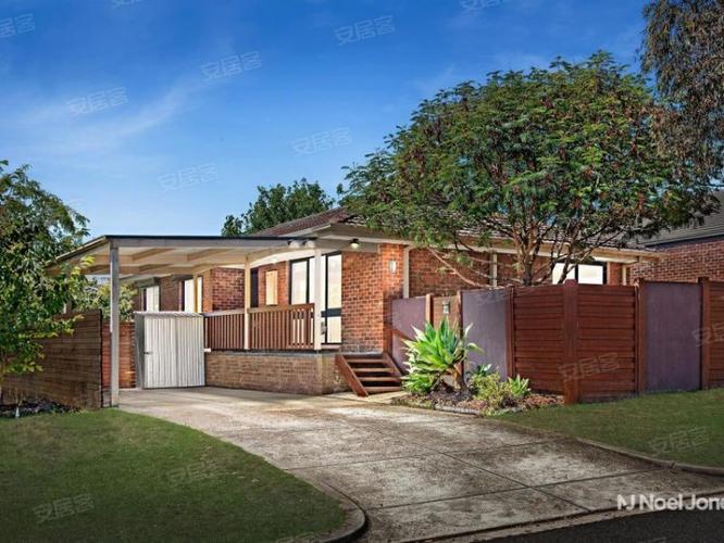 新西兰homestay中介