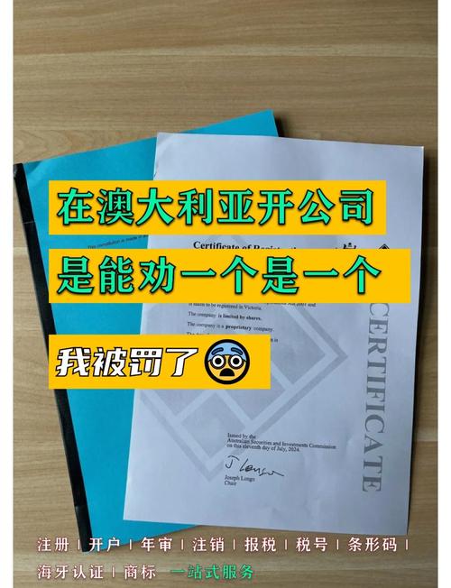 澳洲assignment代写