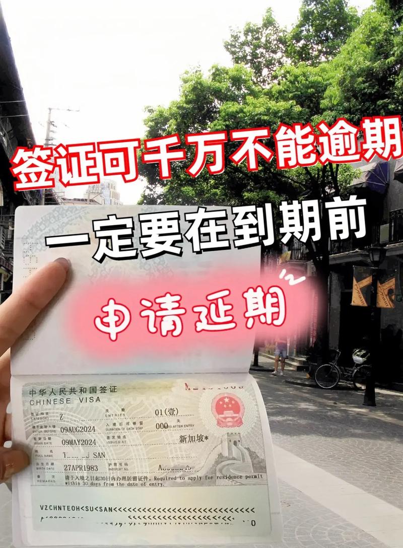 签证下来了不去了有什么后果