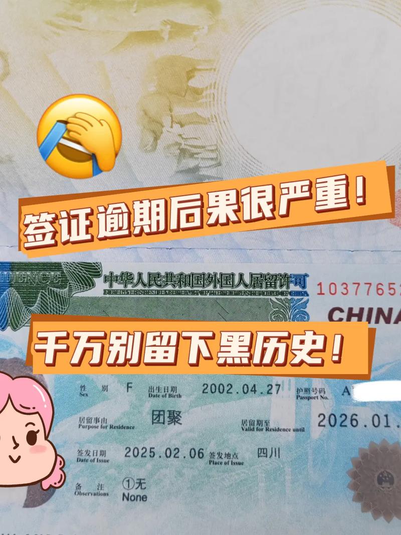 签证下来了不去了有什么后果