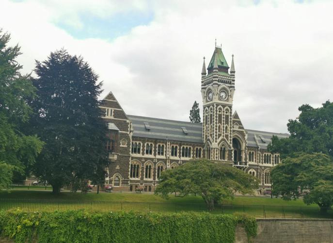 大专新西兰graduate