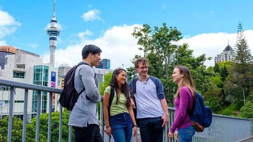 新西兰teaching专业