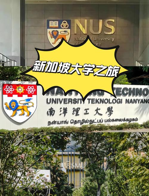 新加坡国立大学办学特色