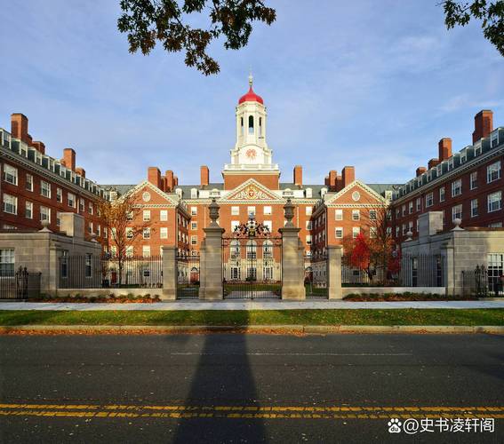 hamilton新西兰大学