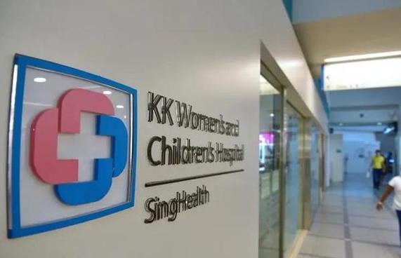 新加坡sp怀孕了会怎样