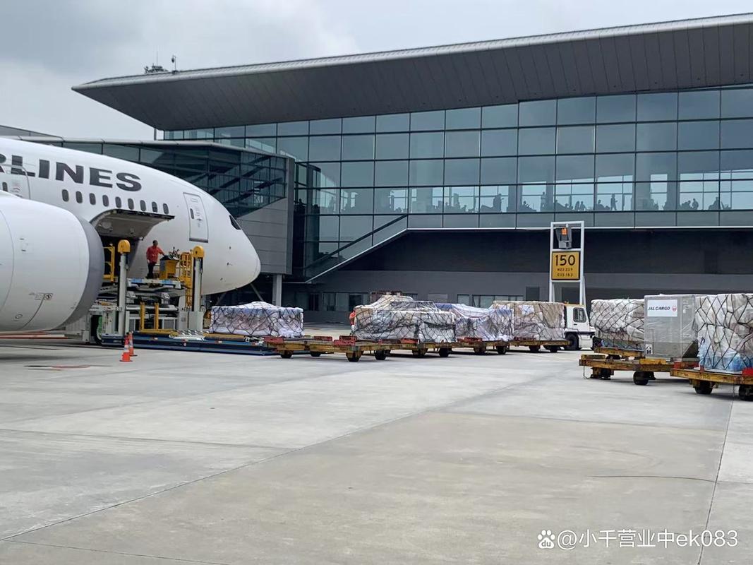 新加坡本地物流公司排名